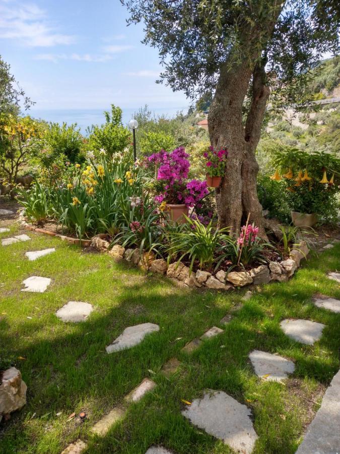 Villino Brunetto Azienda Agrituristica Camogli Bagian luar foto