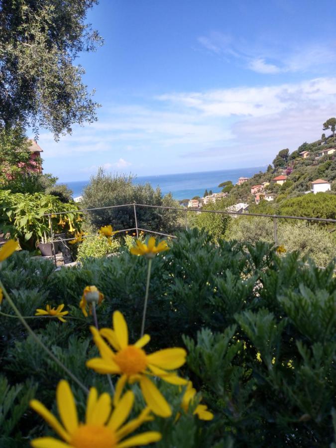 Villino Brunetto Azienda Agrituristica Camogli Bagian luar foto