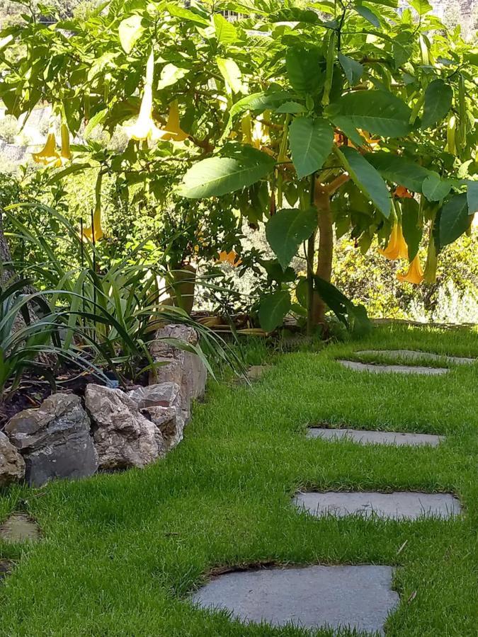 Villino Brunetto Azienda Agrituristica Camogli Bagian luar foto