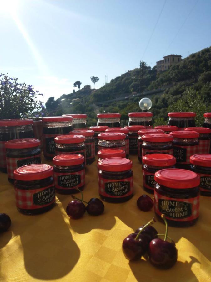 Villino Brunetto Azienda Agrituristica Camogli Bagian luar foto
