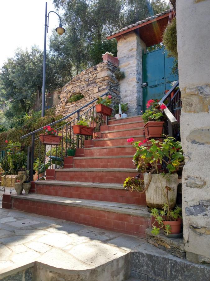 Villino Brunetto Azienda Agrituristica Camogli Bagian luar foto