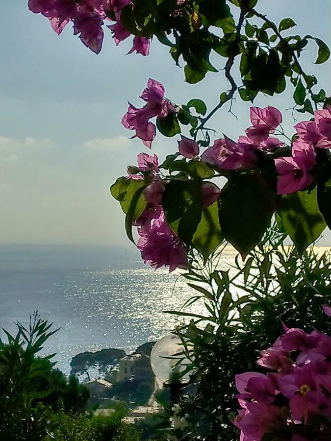 Villino Brunetto Azienda Agrituristica Camogli Bagian luar foto